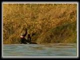 This guy was left behind in a tree as his board washed upstream with the bore!