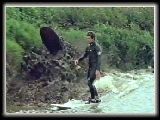 ...Or this will happen!! Courtesy Jaws of the Dragon documentary.
