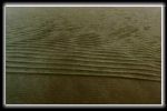 Click to view Dr Ponce's Photo Album, Copyright Dr Victor Ponce