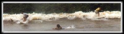 Courtesy www.buganet.com.br/Esportes/surf.htm