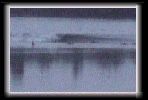 A four foot barrel rushes across the Garonne in the fading light