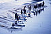 Random Mascaret Surfing Photo 6.