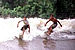 Random Pororoca Surfing Photo 7.