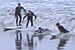 Random Severn Bore Surfing Photo 2.