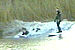 Random Severn Bore Surfing Photo 3.
