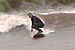 Random Severn Bore Surfing Photo 2.