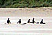 Random Severn Bore Surfing Photo 4.